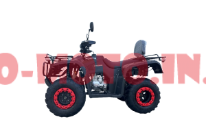 Квадроцикл Forte ATV 250 BS